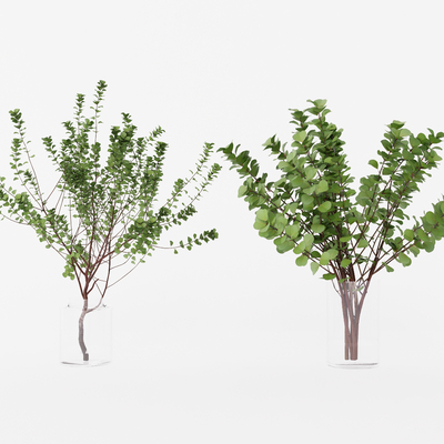  水生植物 花瓶su模型 