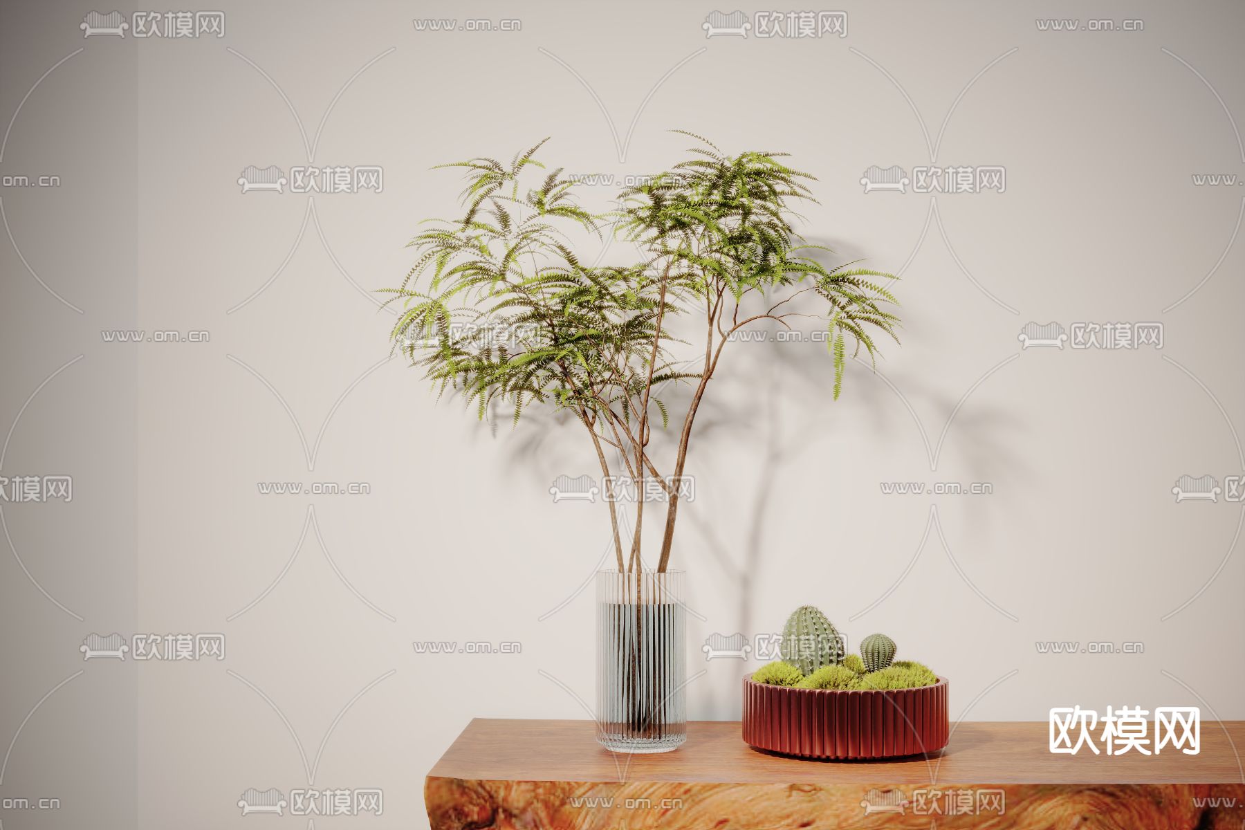 植物 盆栽绿植3d模型下载（渲染图1）