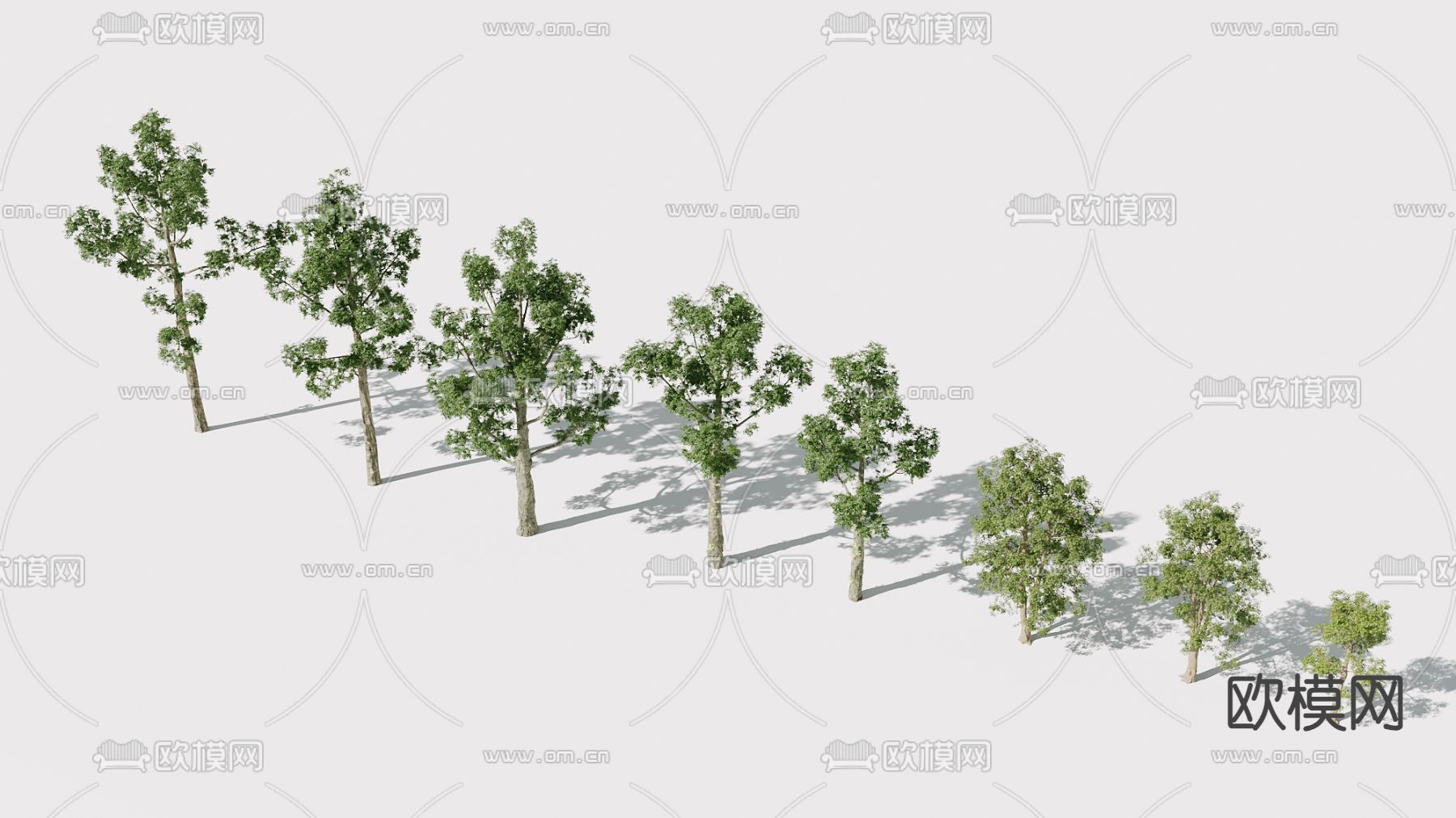 树 景观树 行道树3d模型下载（渲染图1）