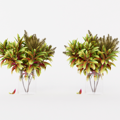  绿植花瓶 水培绿植su模型 