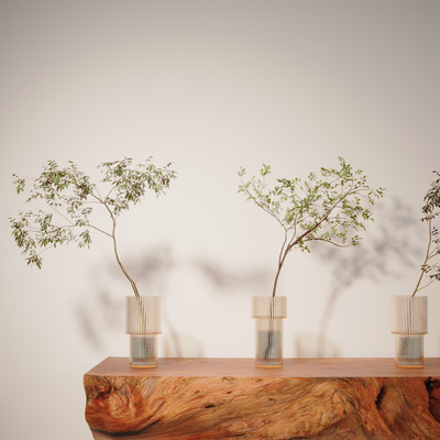  绿植 水生植物 花瓶su模型 