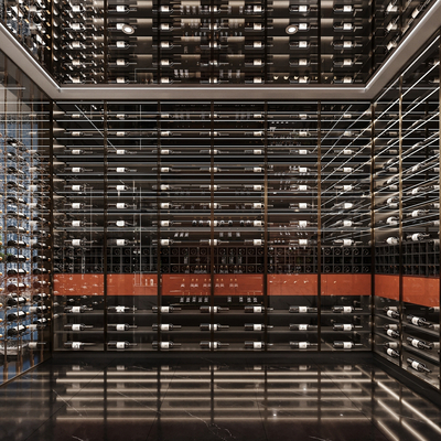  现代品酒室 酒窖su模型 