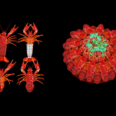  小龙虾 麻辣小龙虾su模型 