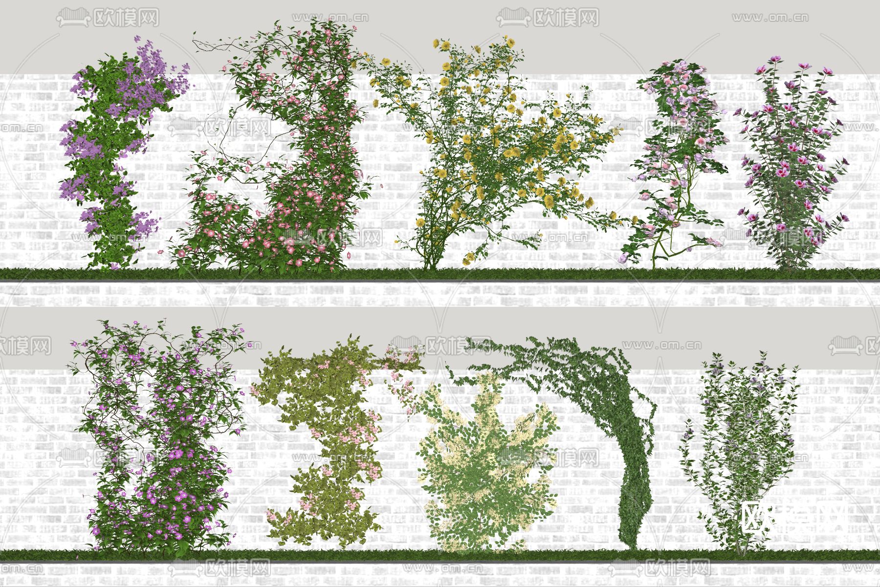 绿植墙花墙 灌木花草su模型下载（渲染图1）