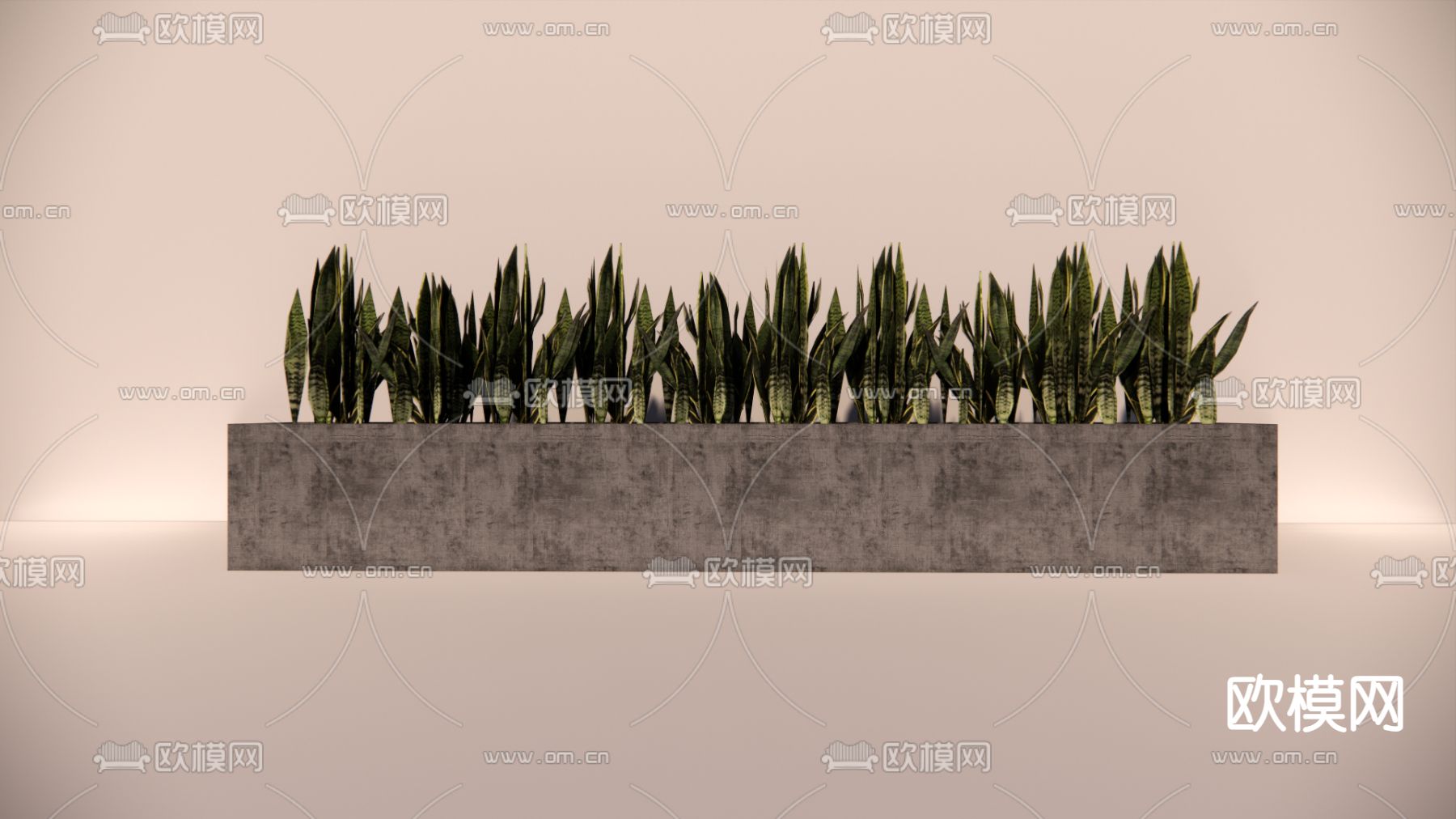芦荟花箱 花槽su模型下载（渲染图1）