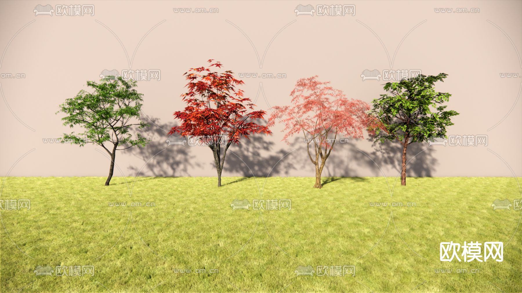 景观树 枫叶树su模型下载（渲染图2）