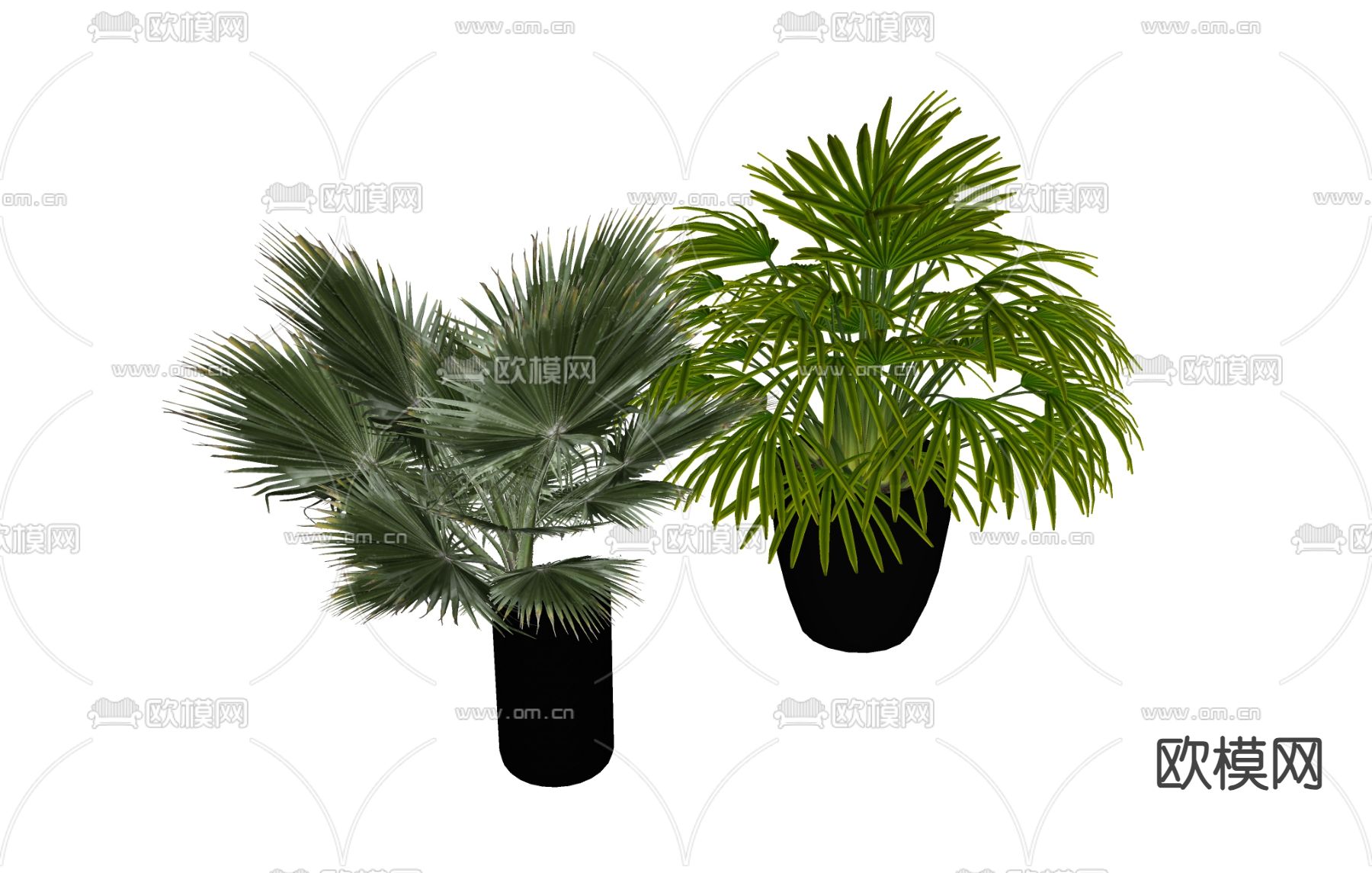 盆栽 花盆 植物绿植su模型下载（渲染图1）