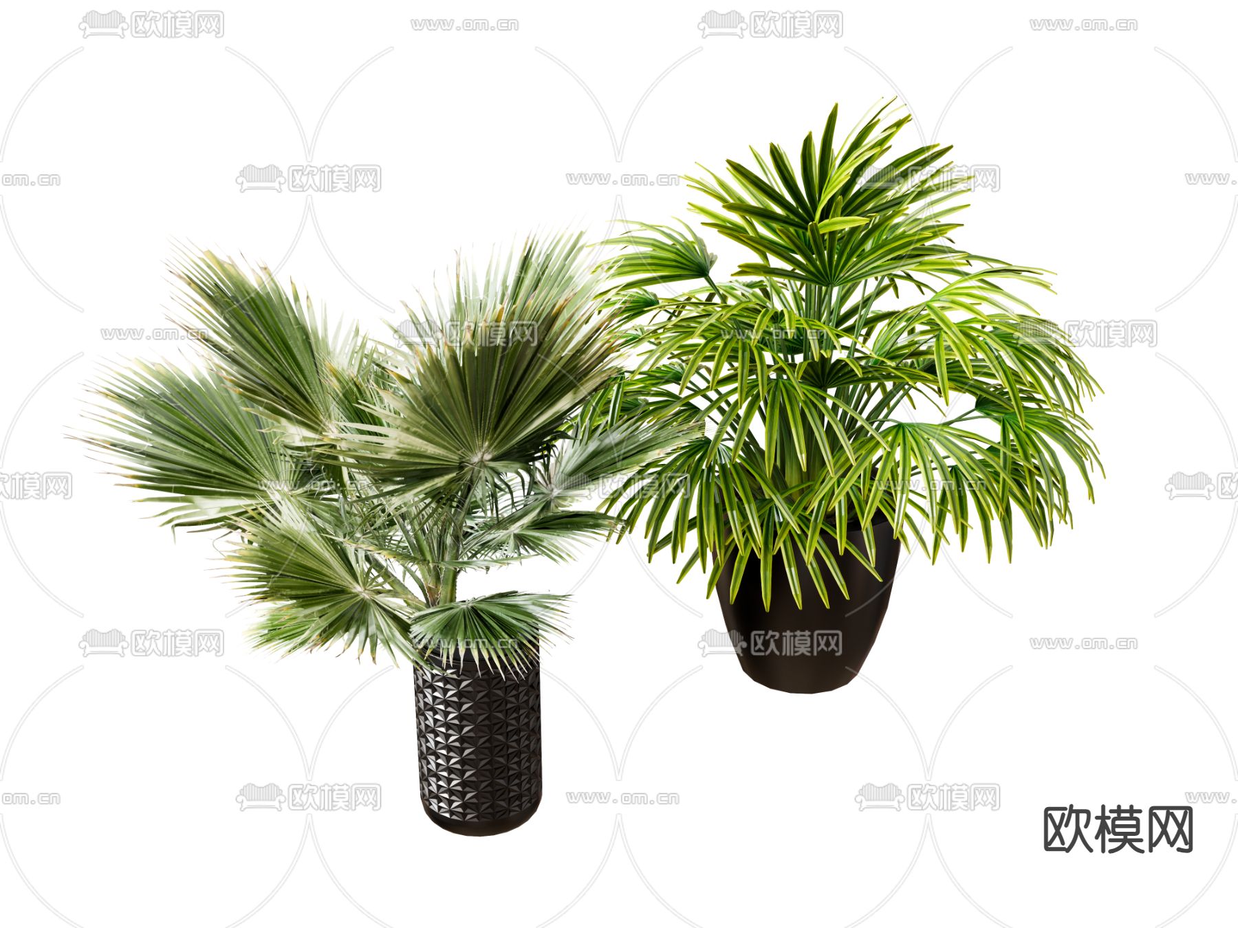 盆栽 花盆 植物绿植su模型下载（渲染图2）