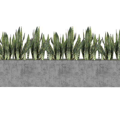  芦荟花箱 花槽su模型 