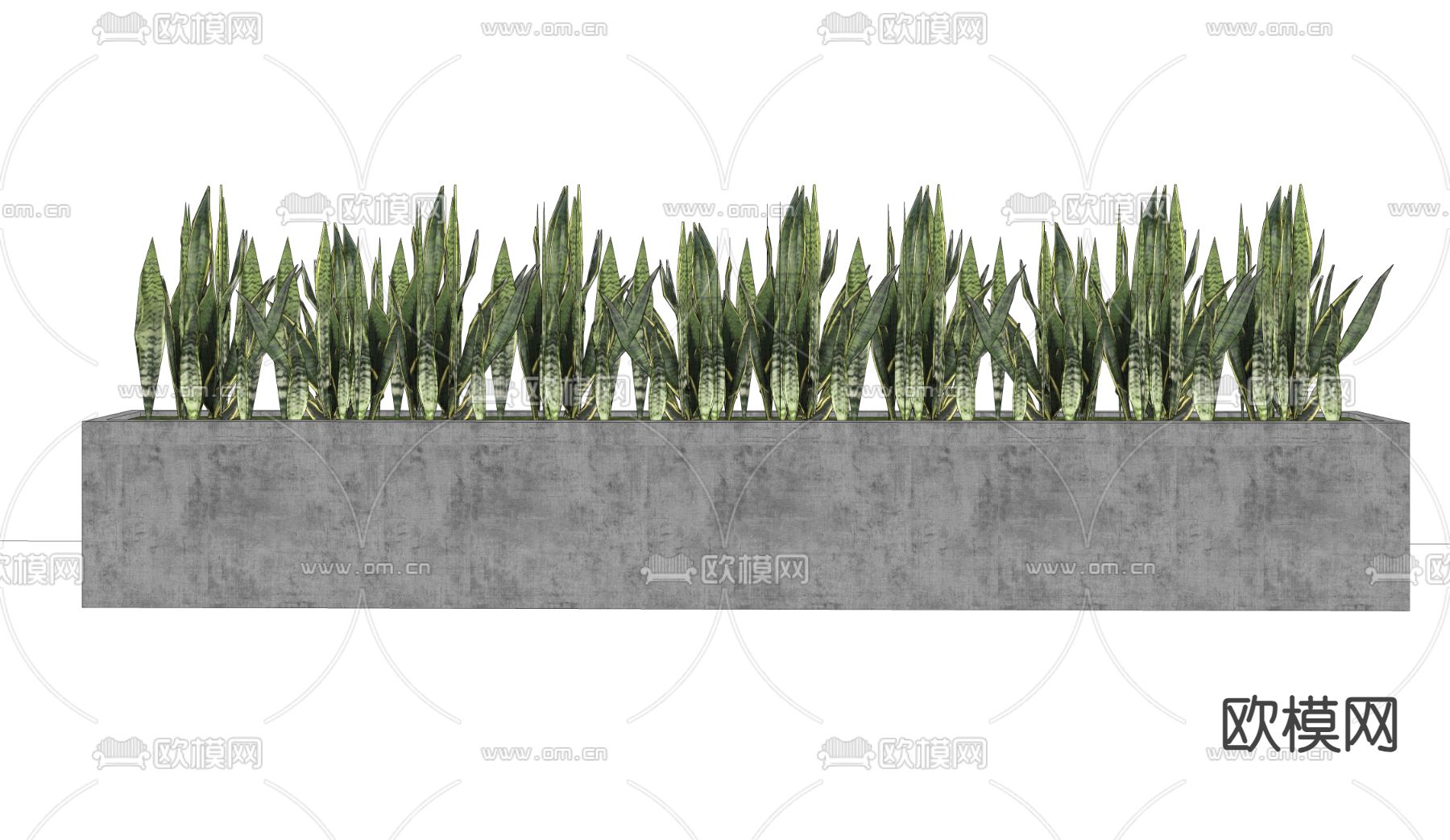 芦荟花箱 花槽su模型下载（渲染图2）