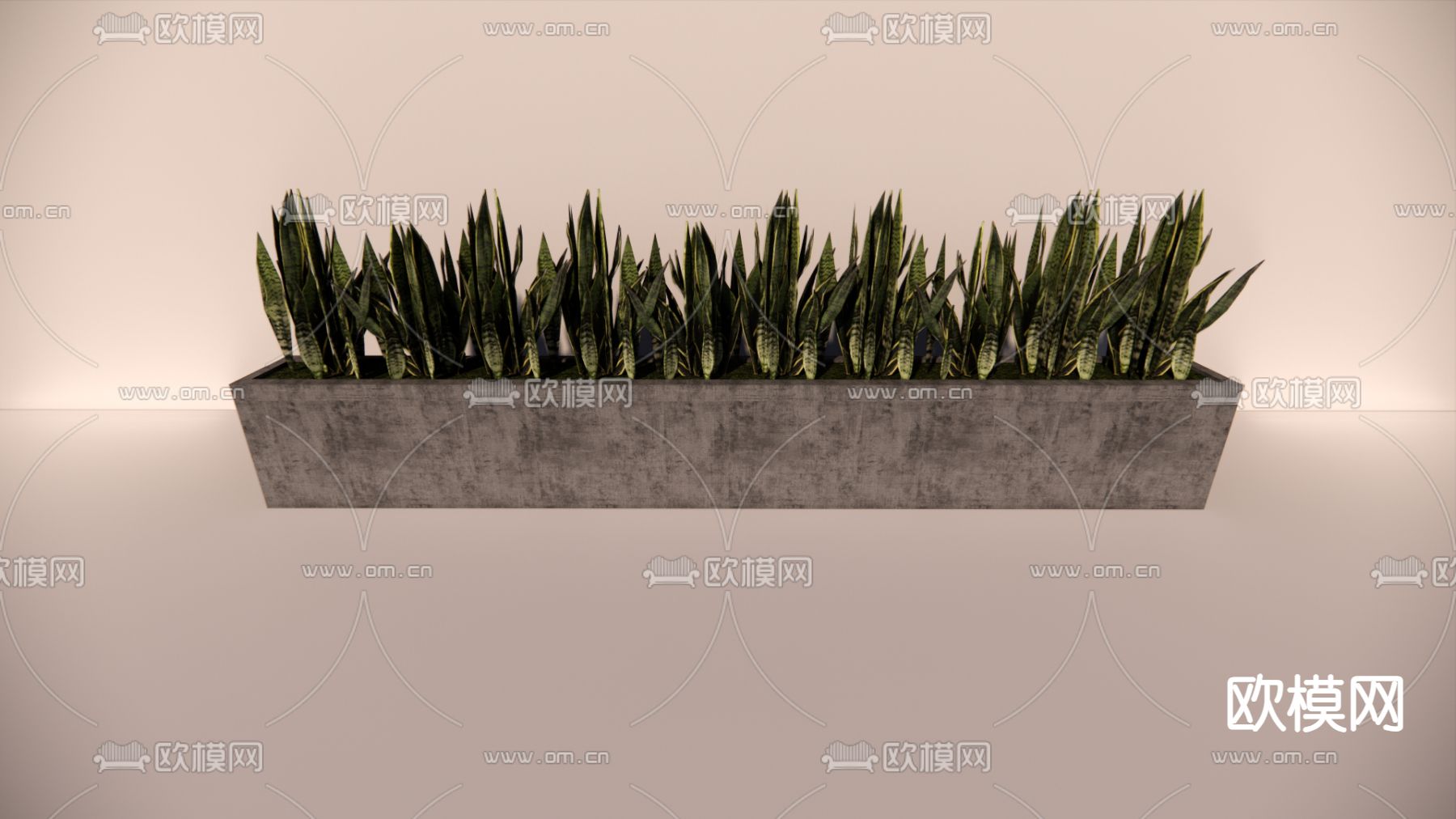 芦荟花箱 花槽su模型下载（渲染图3）