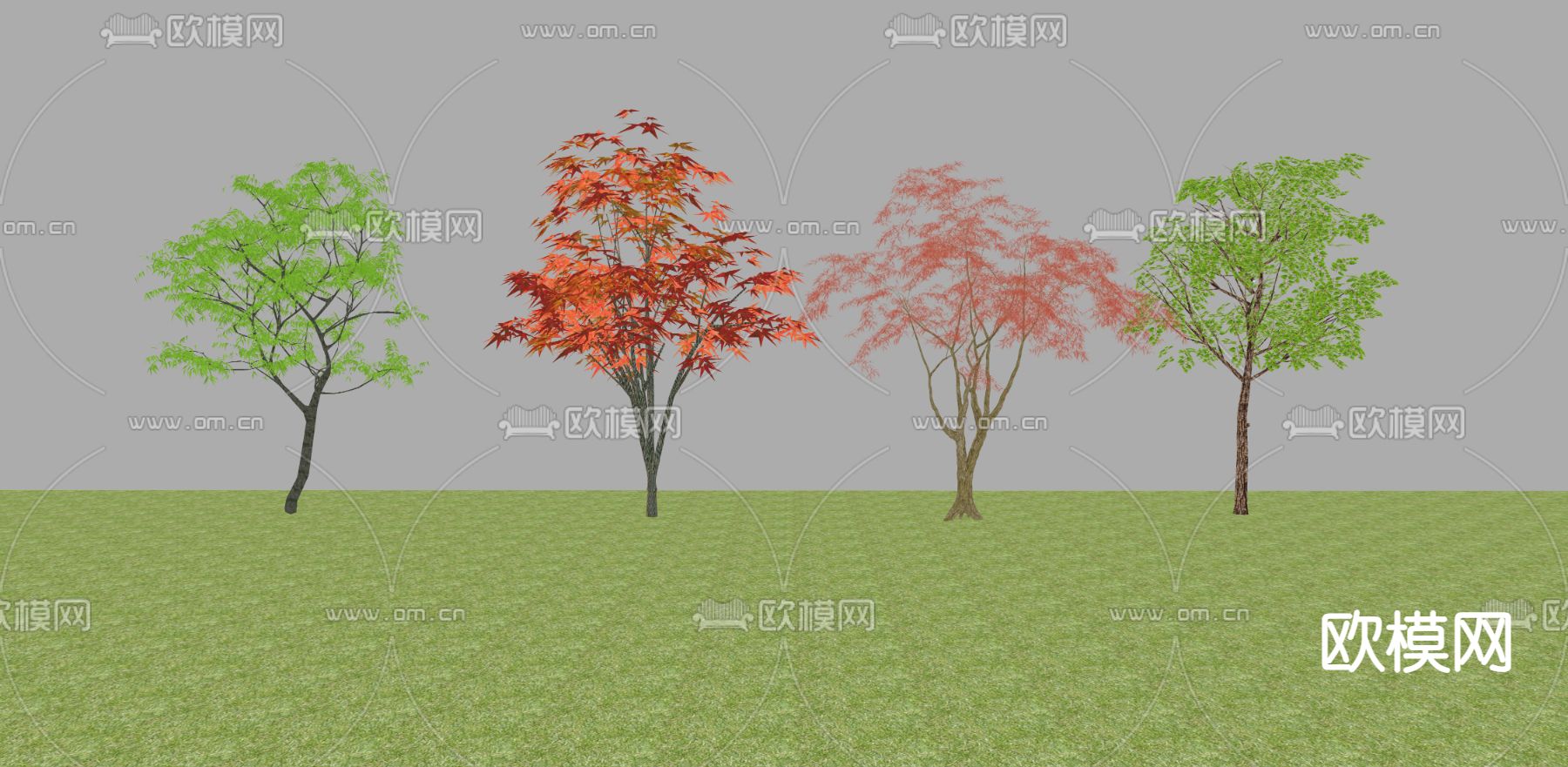 景观树 枫叶树su模型下载（渲染图3）