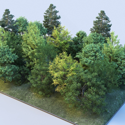  公园植物 树木 大树 小树su模型 