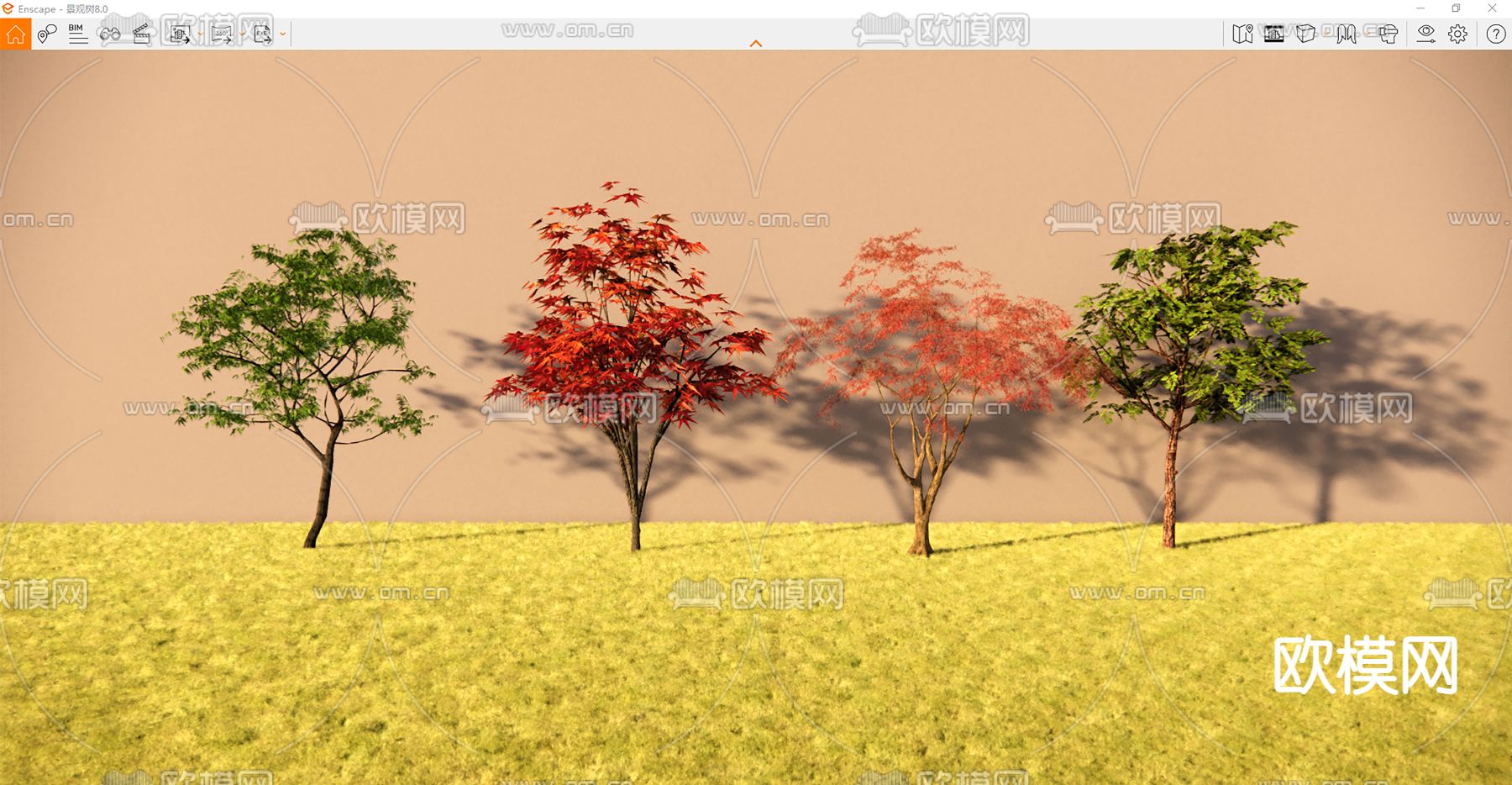 景观树 枫叶树su模型下载（渲染图1）