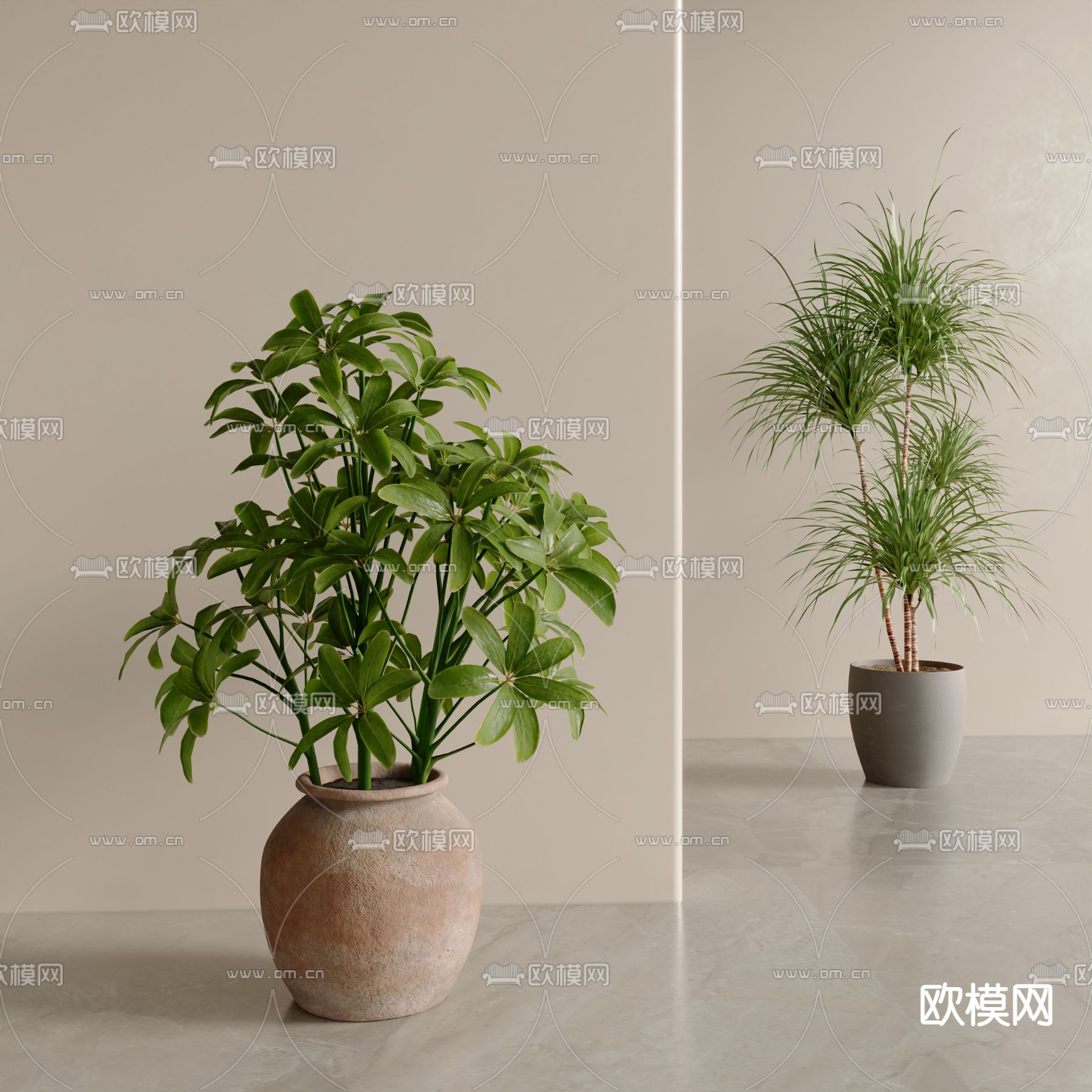 盆栽 盆景su模型下载（渲染图2）