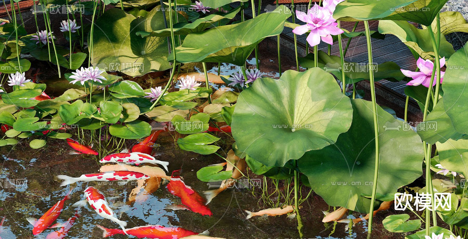 现代荷花池 锦鲤池3d模型下载（渲染图2）
