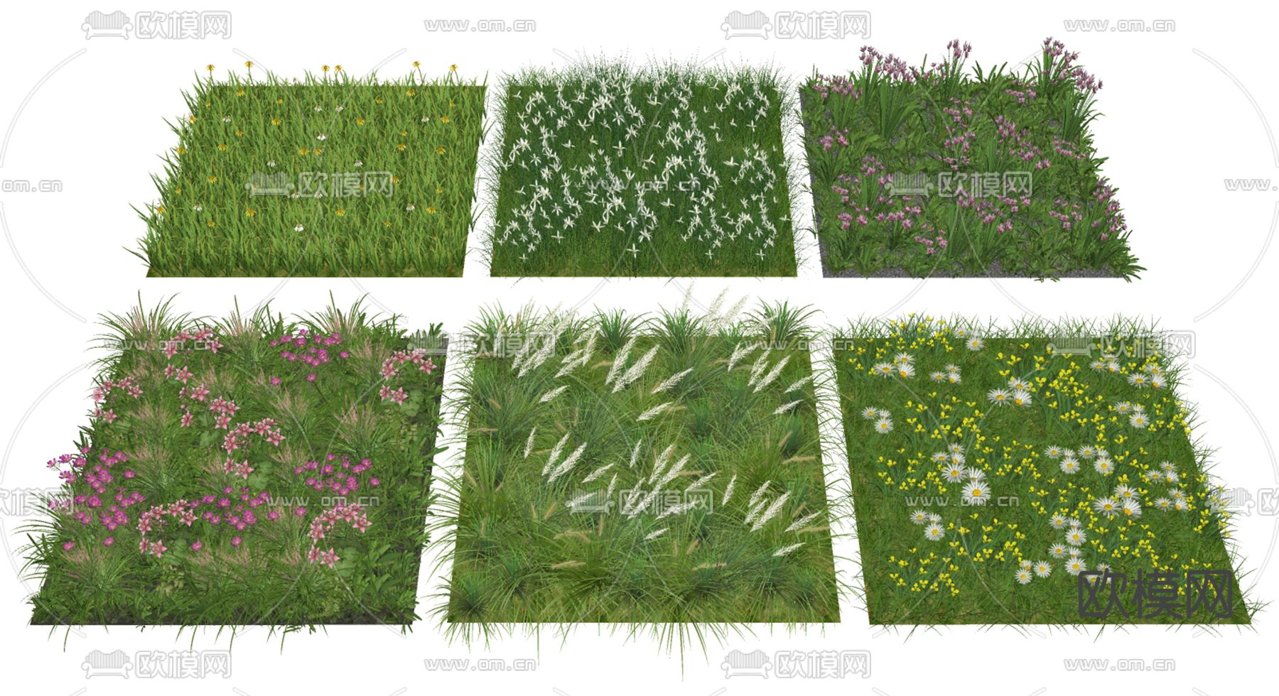 植物花草 灌木丛su模型下载（渲染图1）