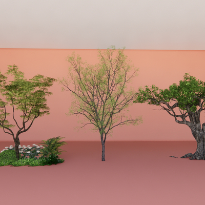  景观树 乌桕su模型 