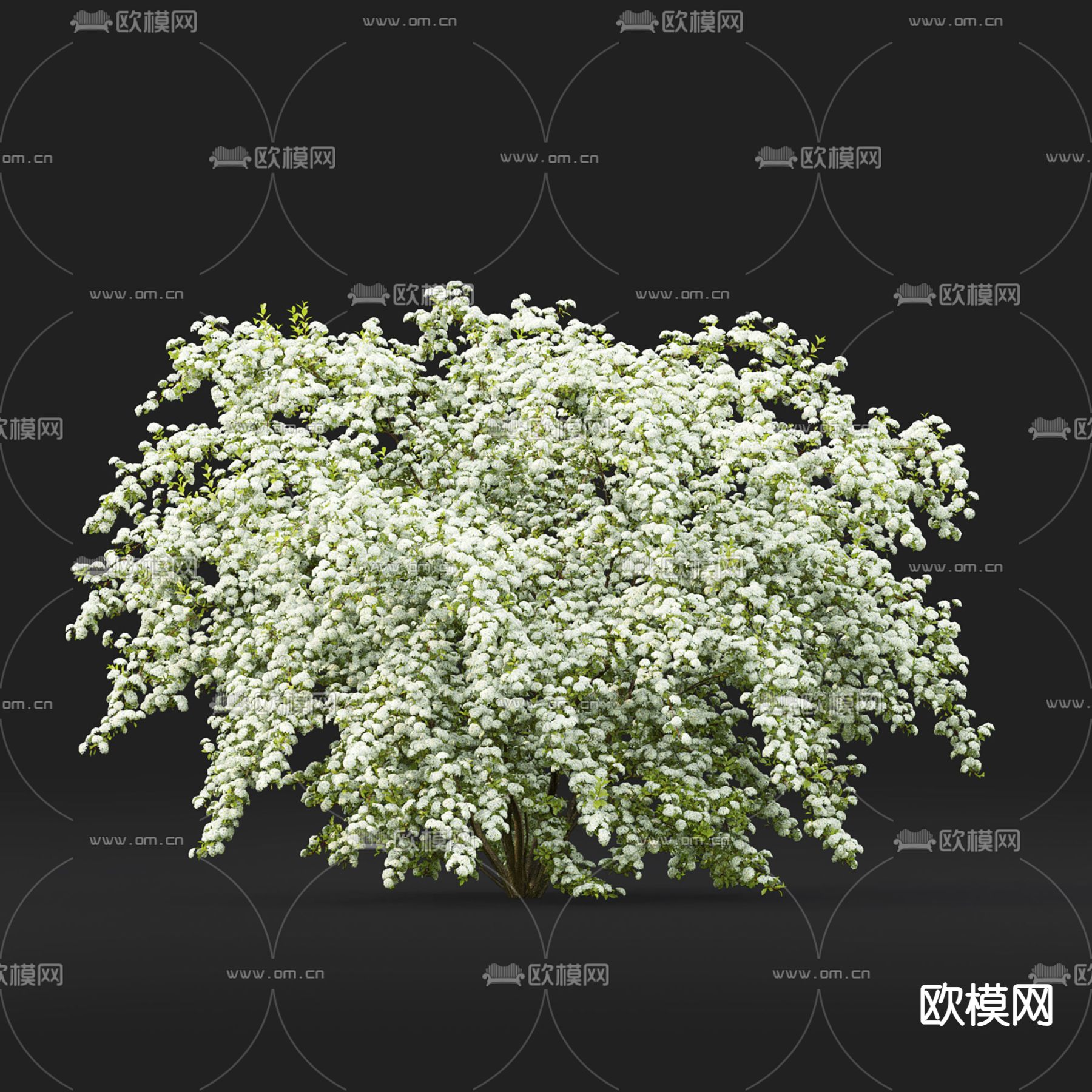 绣球花 香雪球 秋华 芍药 山茶花su模型下载（渲染图4）