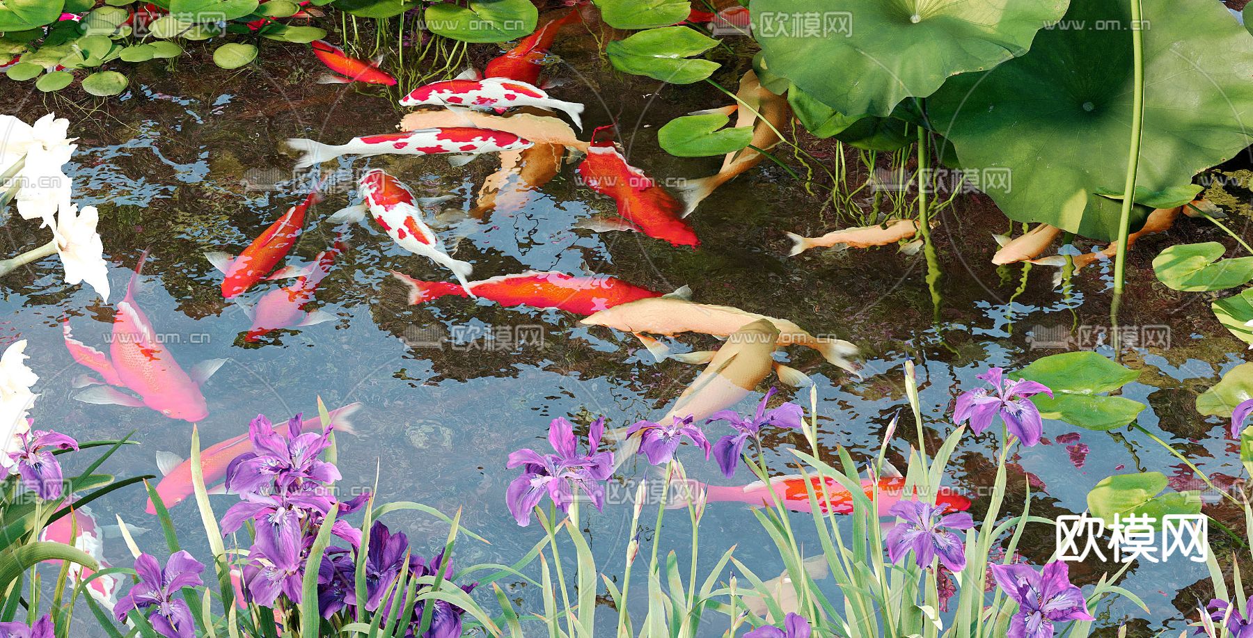 现代荷花池 锦鲤池3d模型下载（渲染图3）