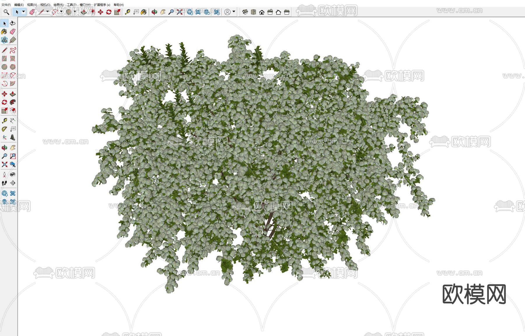 绣球花 香雪球 秋华 芍药 山茶花su模型下载（渲染图5）