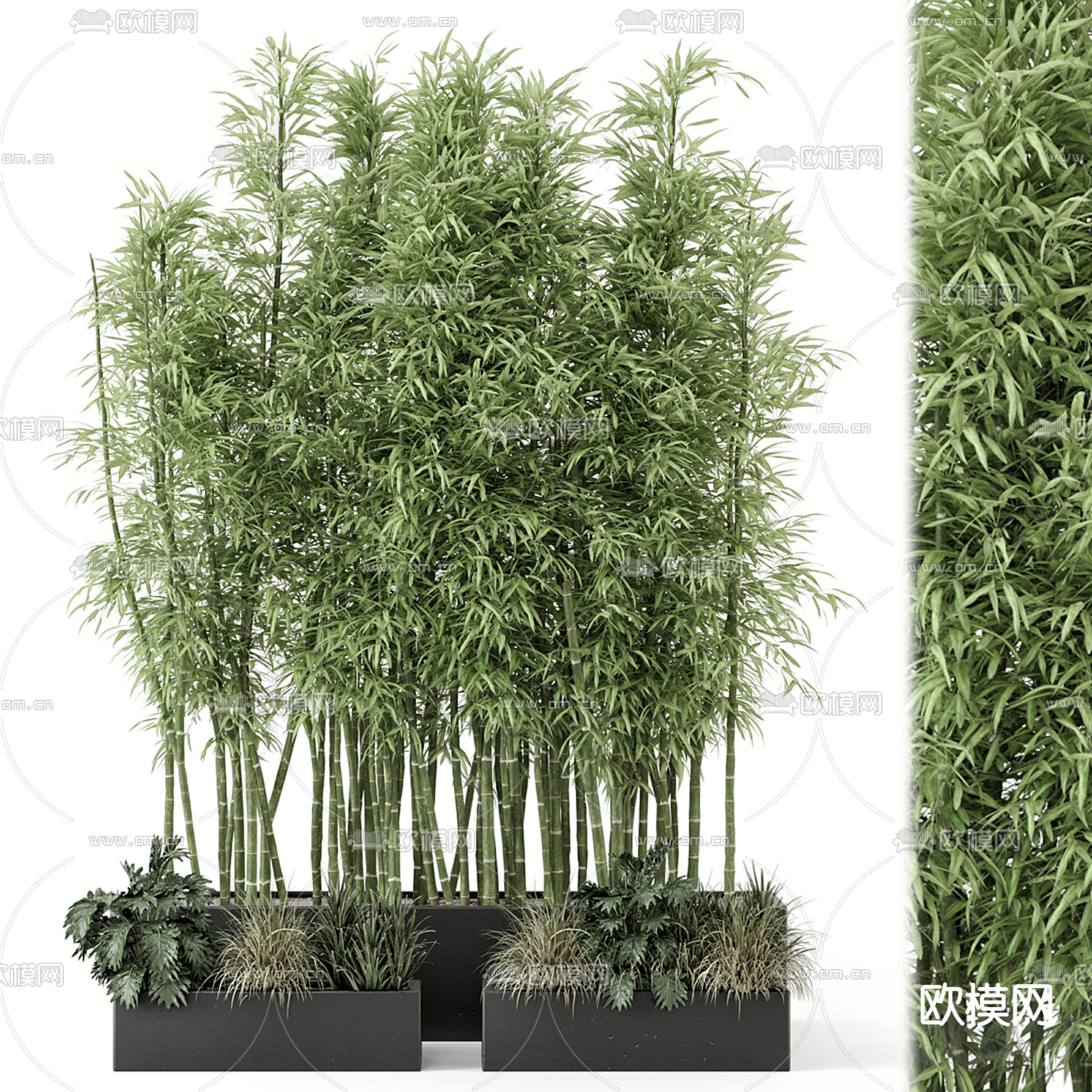 现代竹子盆栽3d模型下载（渲染图2）