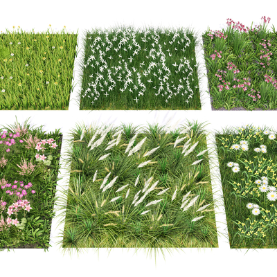  植物花草 灌木丛su模型 