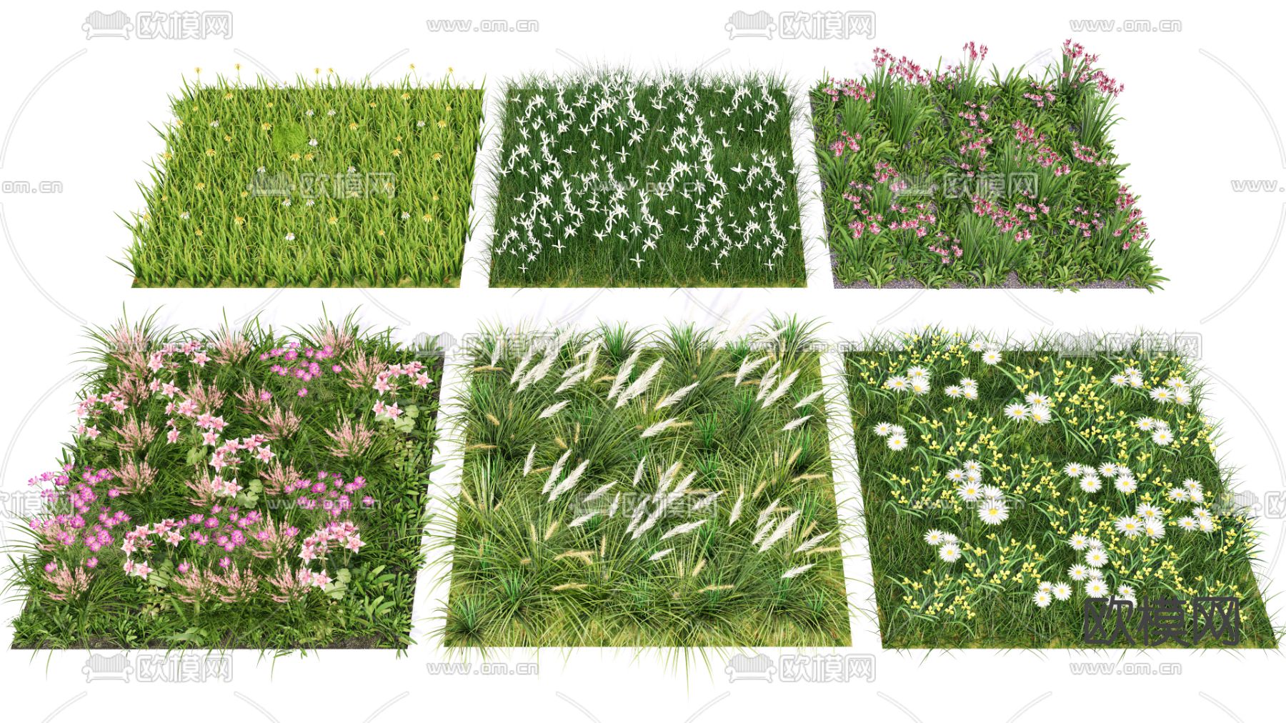 植物花草 灌木丛su模型下载（渲染图2）