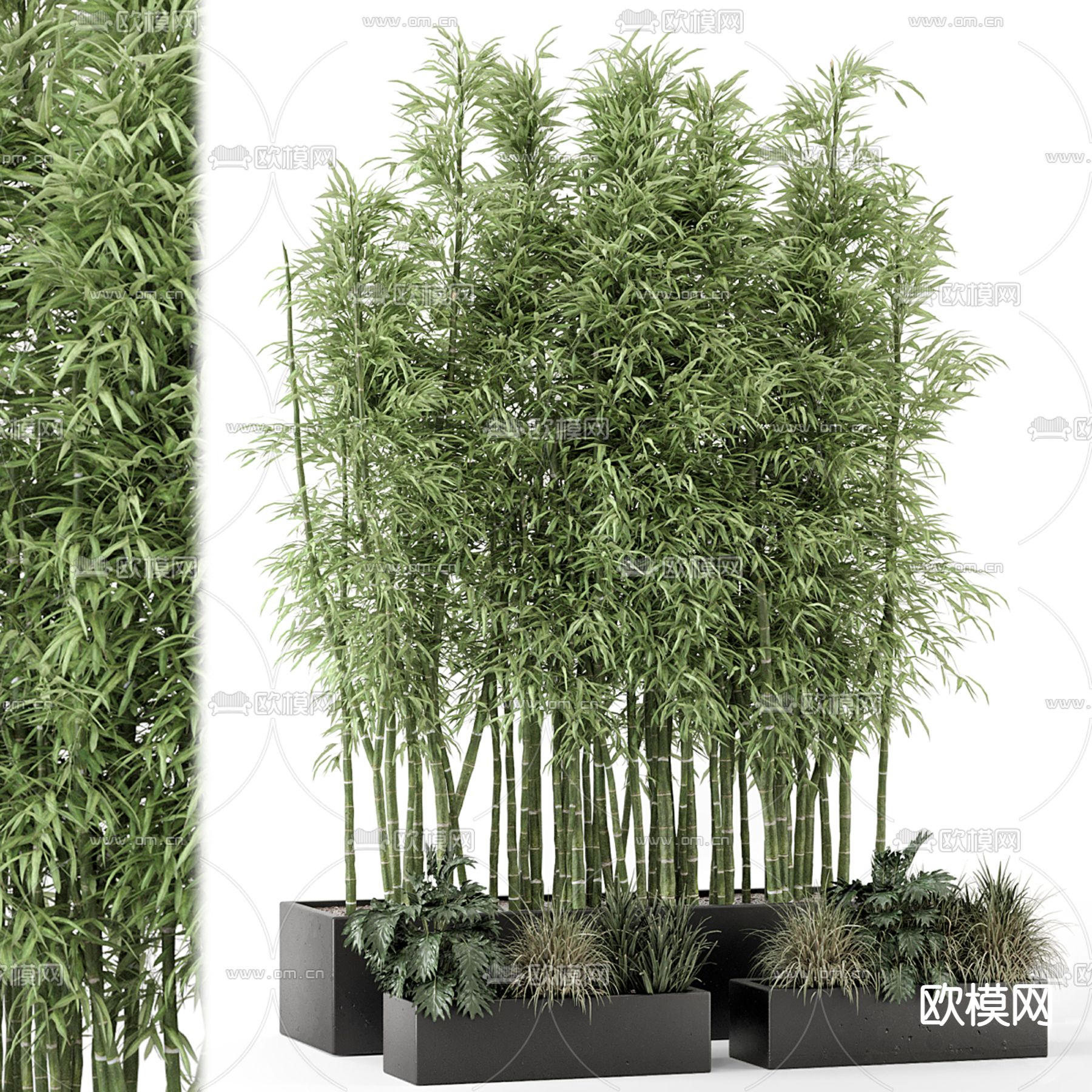 现代竹子盆栽3d模型下载（渲染图1）