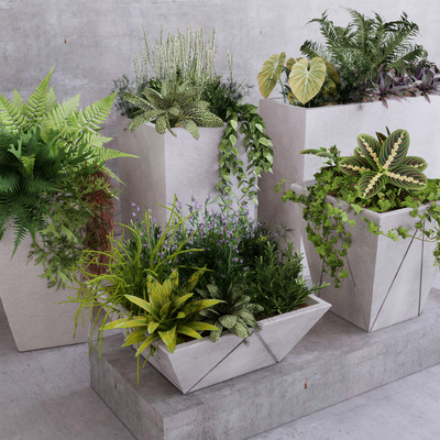  植物 盆栽 花钵su模型 