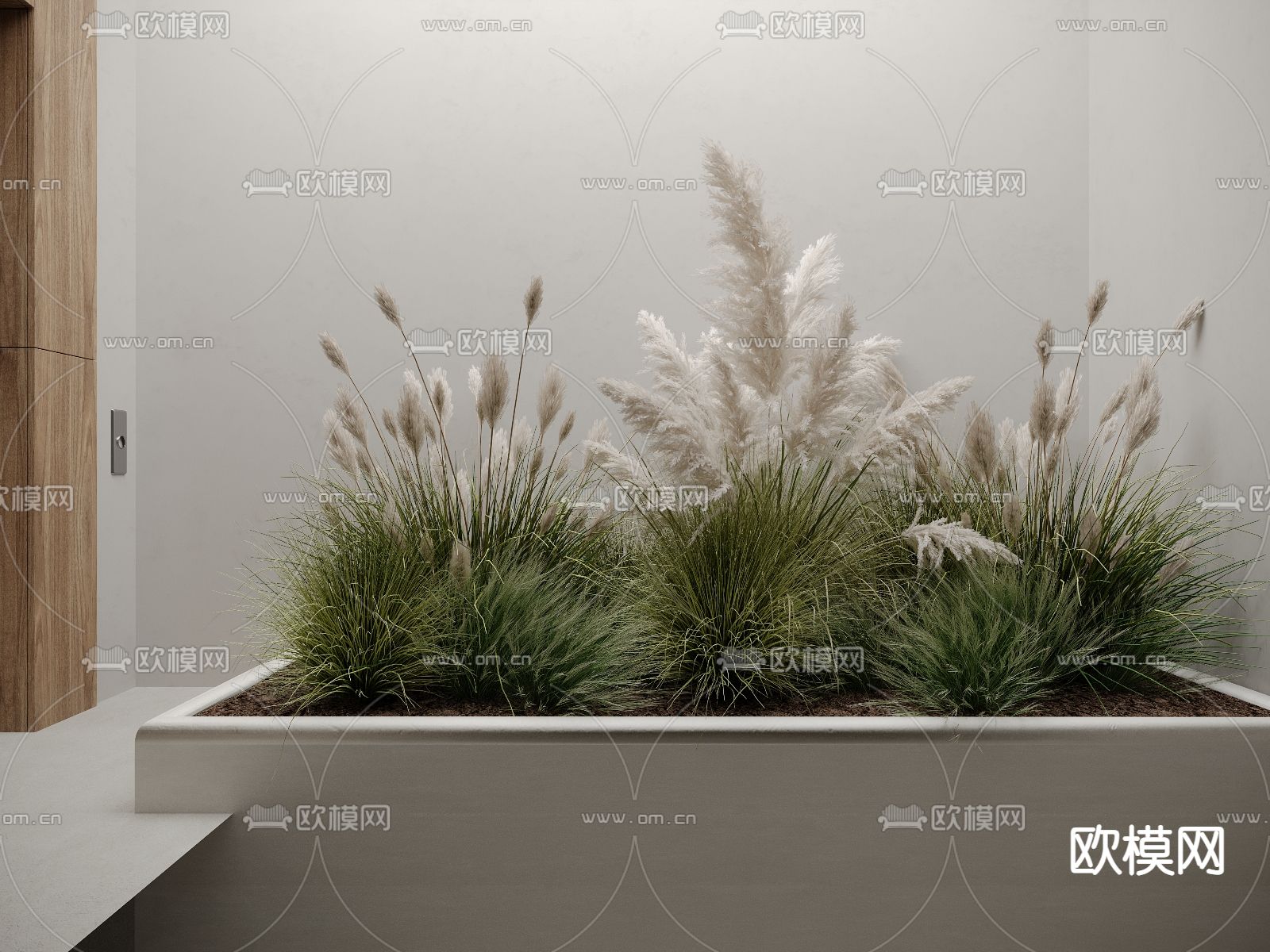 现代芦苇 植物堆su模型下载（渲染图2）