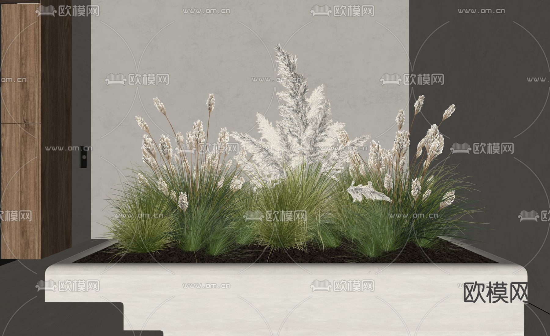 现代芦苇 植物堆su模型下载（渲染图1）