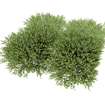  绿植 花盒子 草丛草堆su模型 