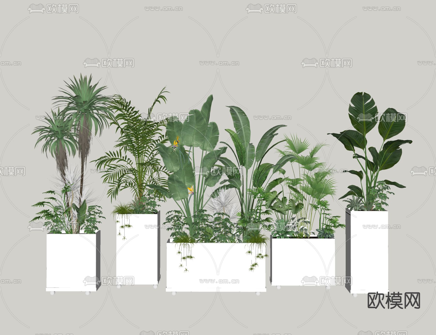 盆栽 绿植su模型下载