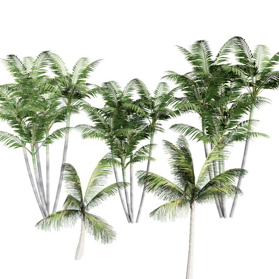  绿植 橡树 热带植物 椰子树su模型 