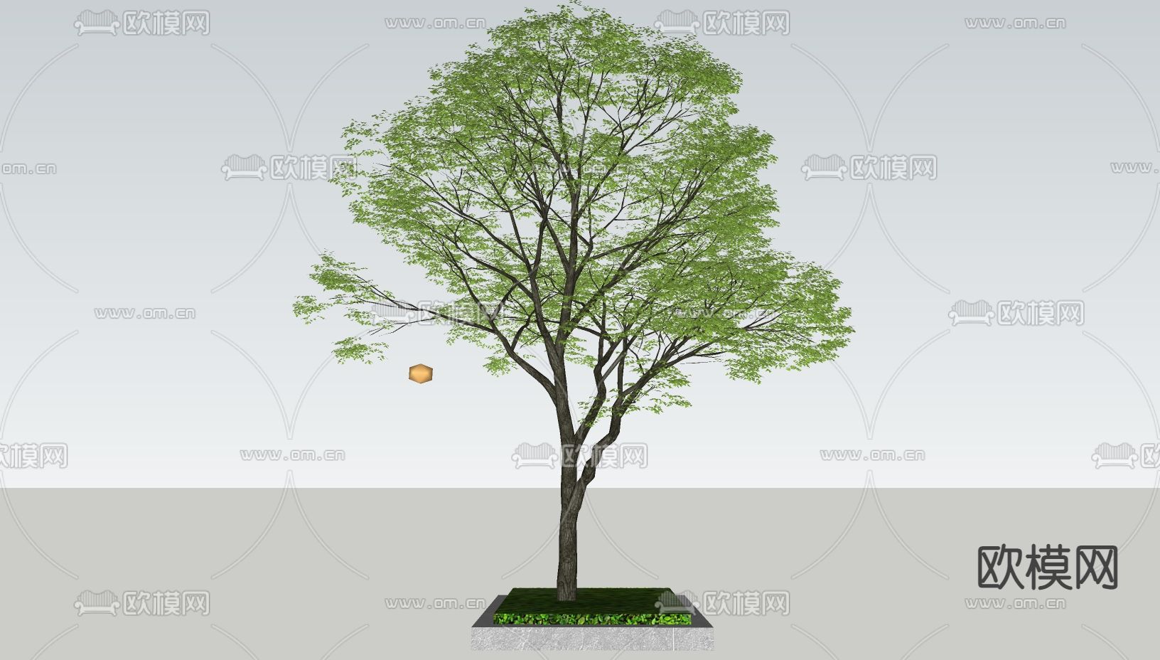 景观乔木 树池 景观树su模型下载（渲染图2）