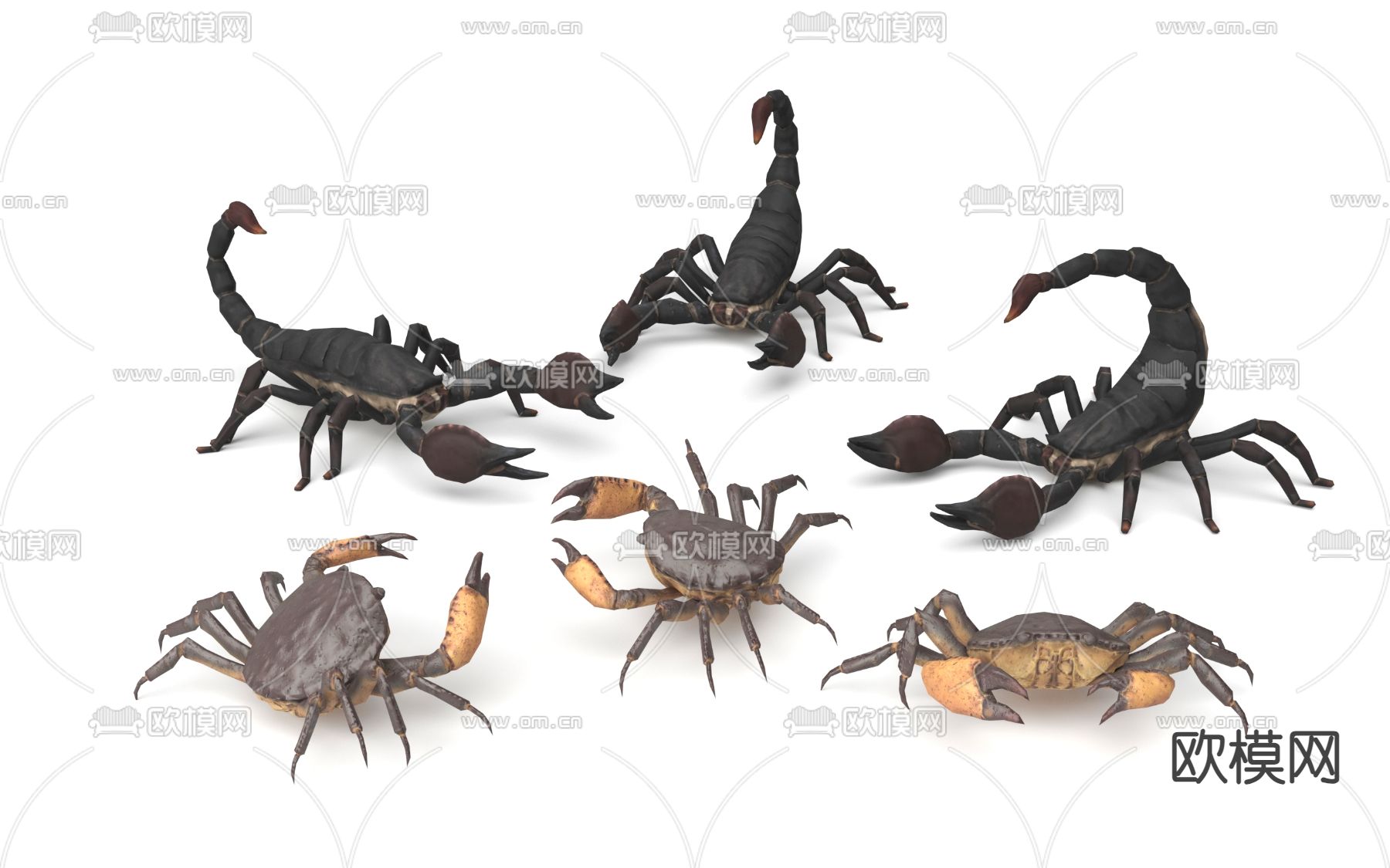 螃蟹 蝎子3d模型下载