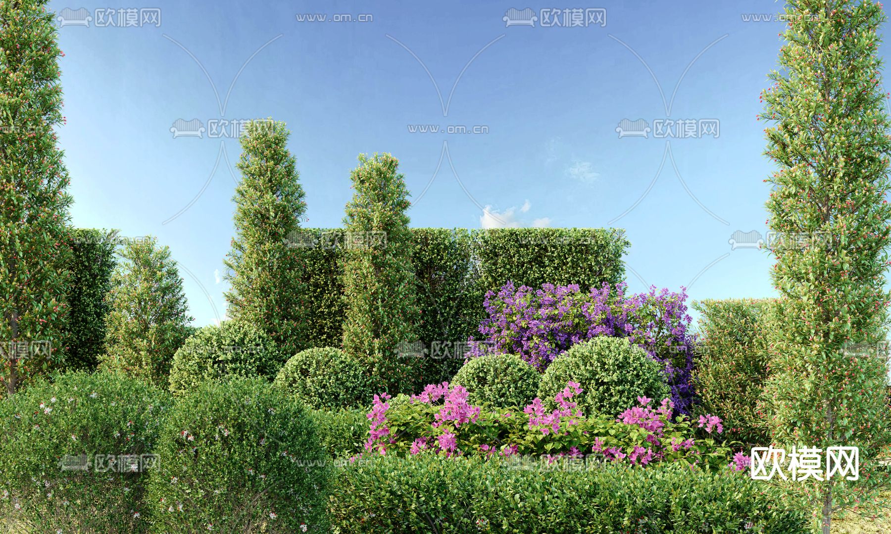 灌木丛 绿篱带 造型灌木3d模型下载