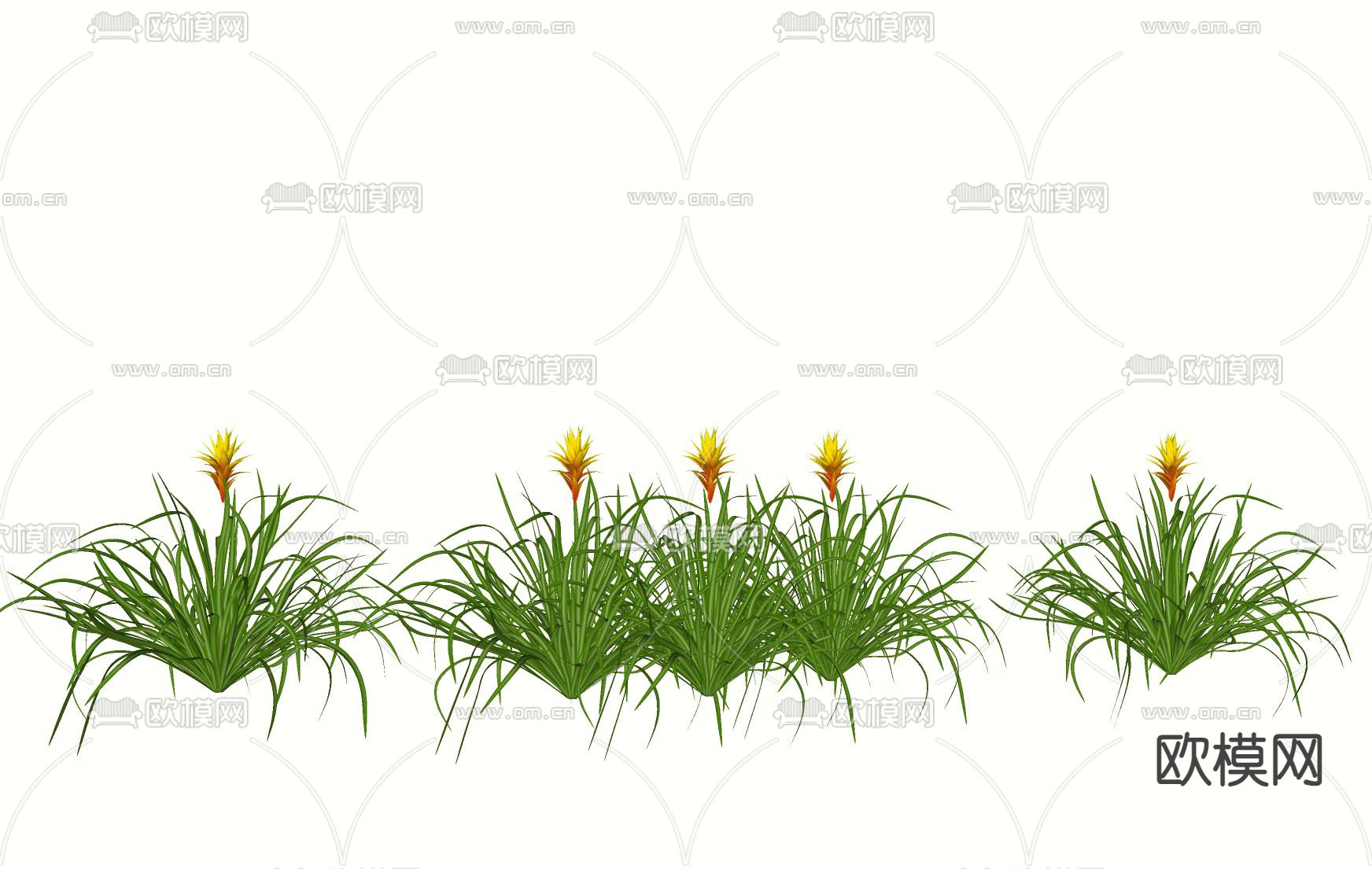 紫花凤梨 铁兰 灌木花草绿植su模型下载（渲染图2）