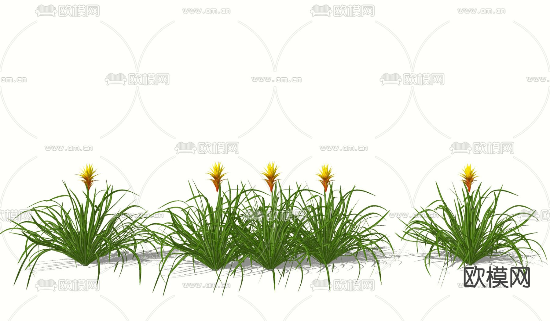 紫花凤梨 铁兰 灌木花草绿植su模型下载（渲染图1）