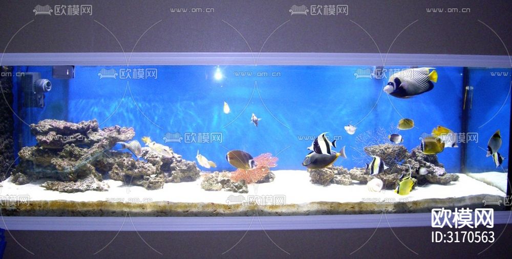 精美鱼缸贴图下载