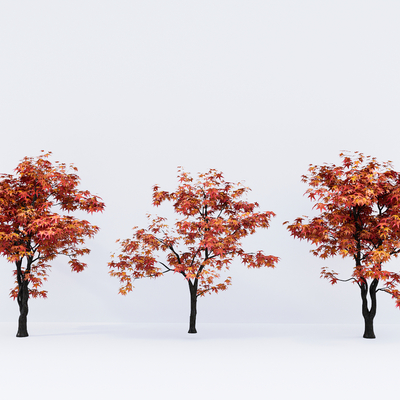  红枫 庭院树 乔木 行道树su模型 