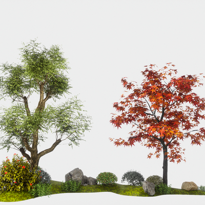  乔木 景观树 大树 红枫 庭院树su模型 