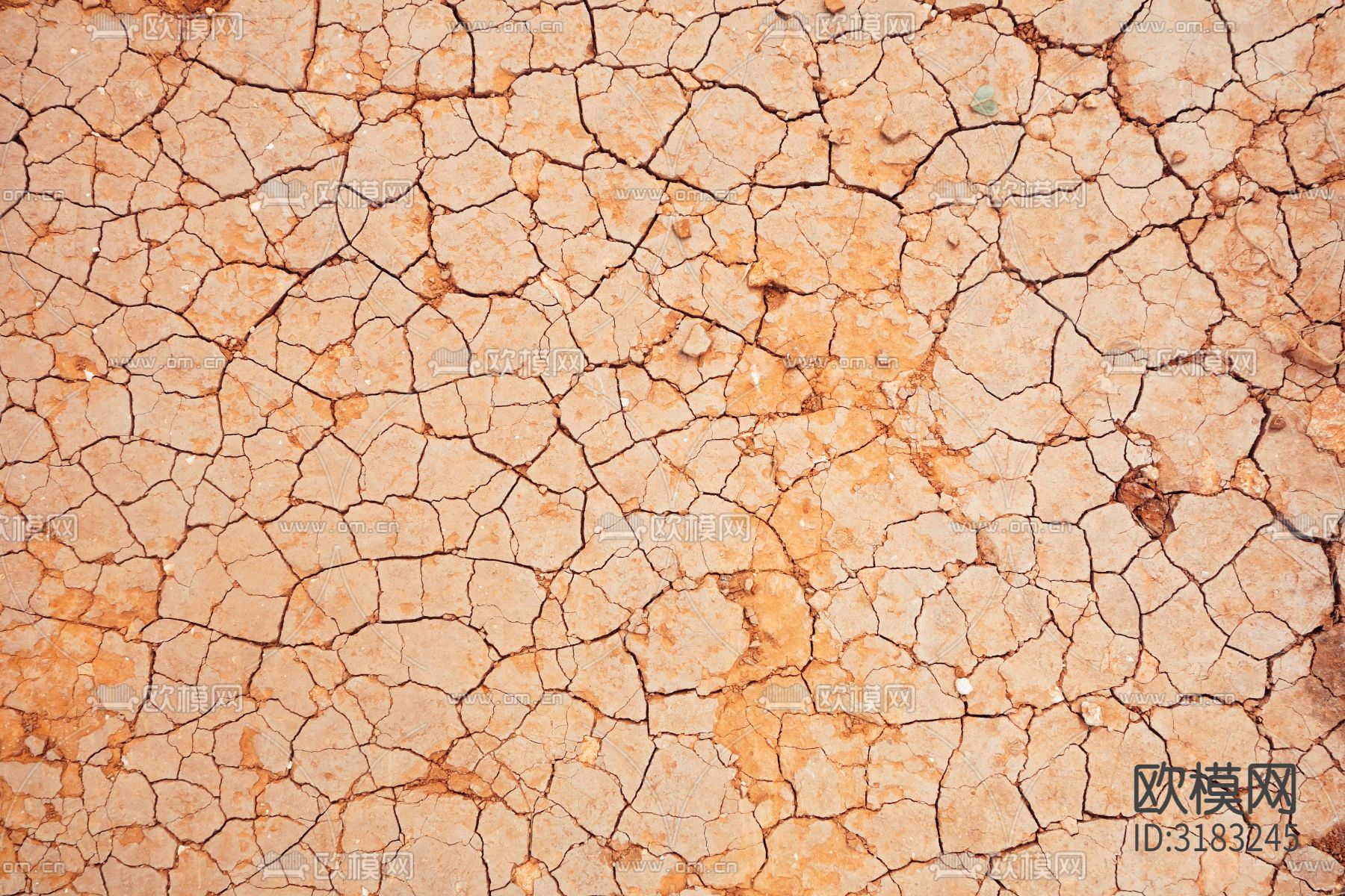 黄色土壤开裂贴图下载