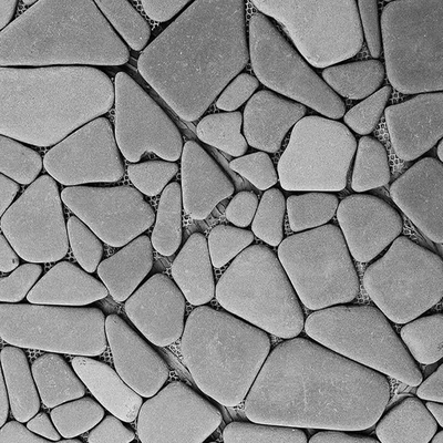  灰色花园路园林路鹅卵石贴图 