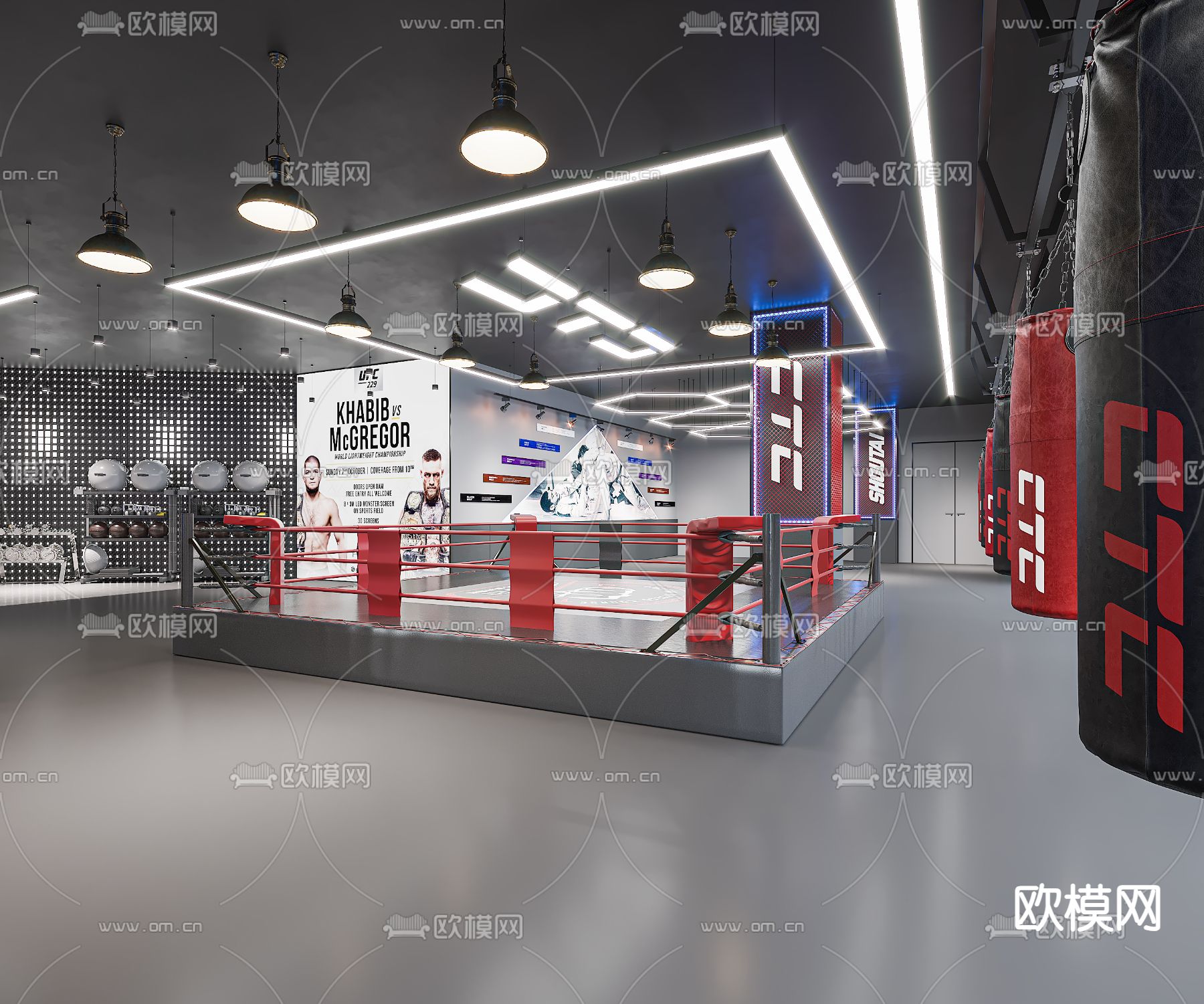 现代格斗馆 健身房3d模型下载（渲染图6）