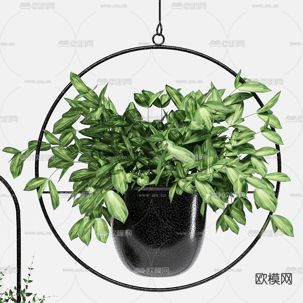 现代吊篮绿植  悬挂植物3d模型下载（渲染图2）