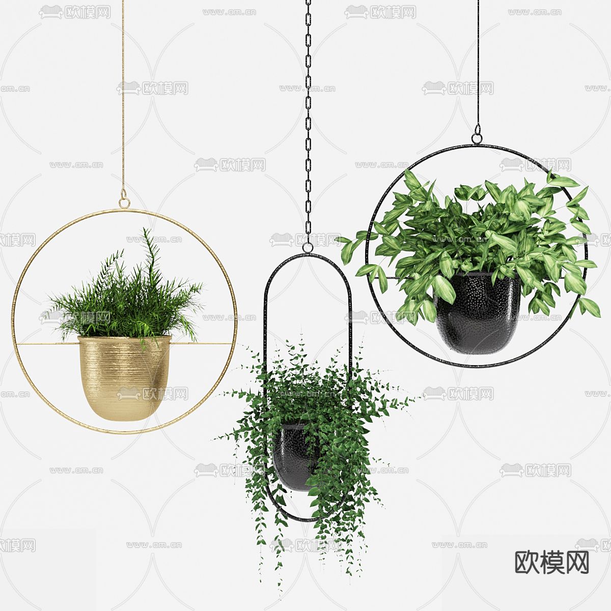 现代吊篮绿植  悬挂植物3d模型下载（渲染图1）