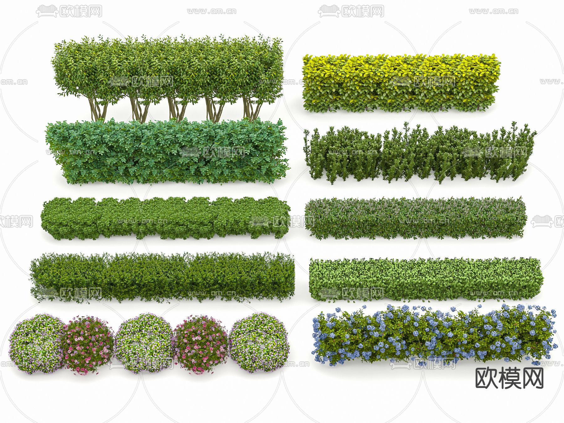 绿化带 灌木球3d模型下载