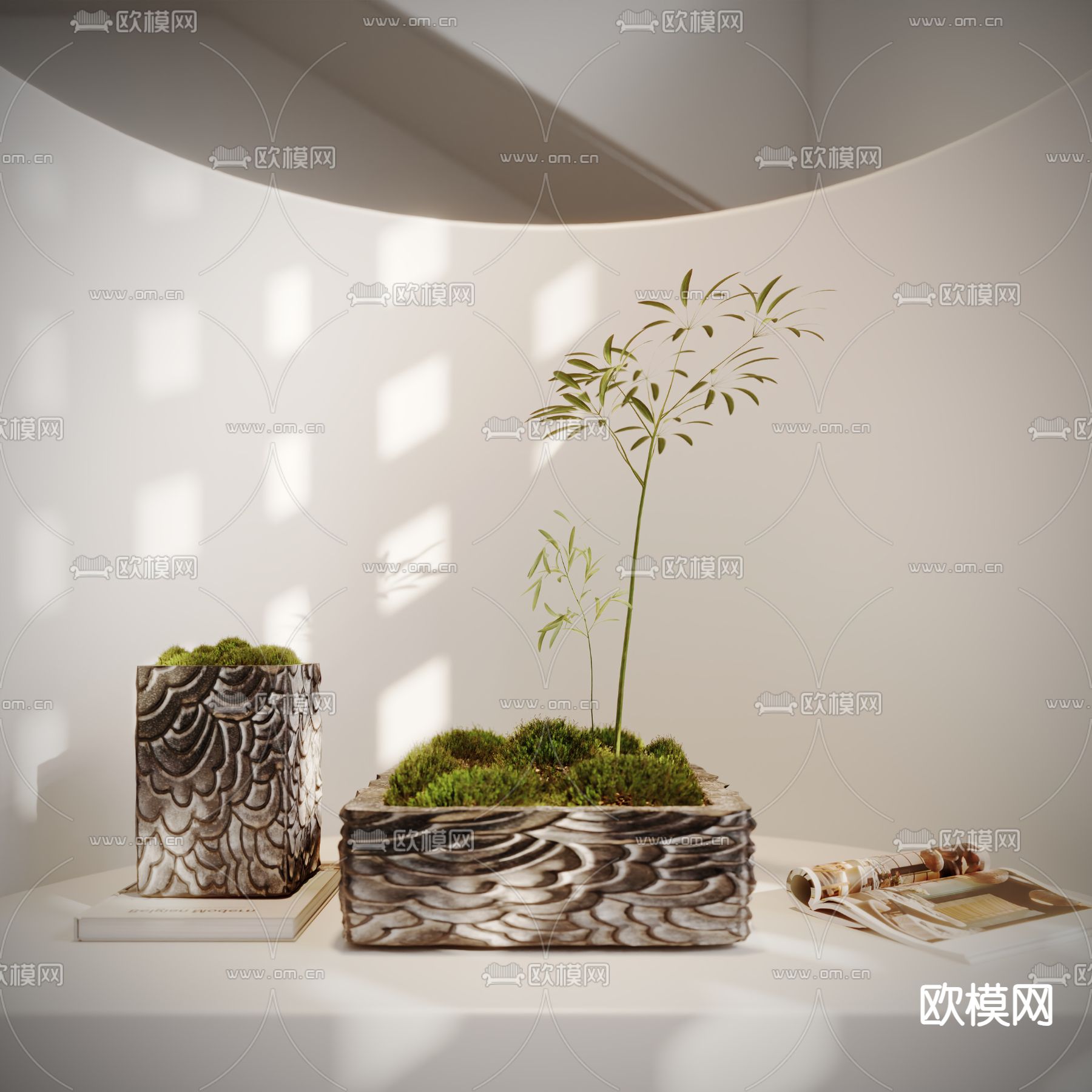 新中式苔藓小品 盆栽 植物3d模型下载（渲染图1）